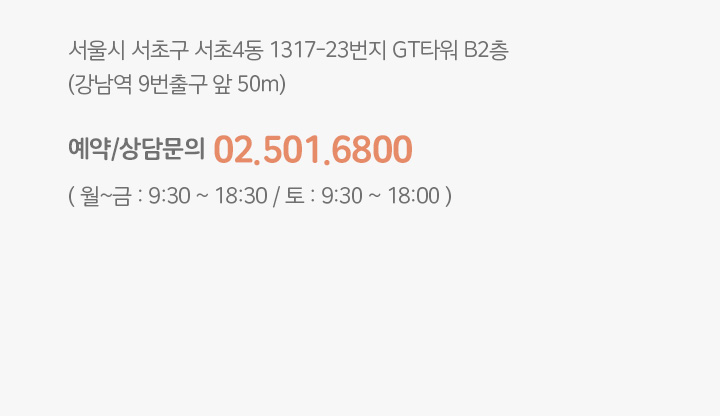서울시 서초구 서초4동 1317-23번지 GT타워 B2층