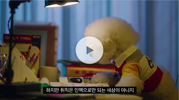 빛좋은 개살구